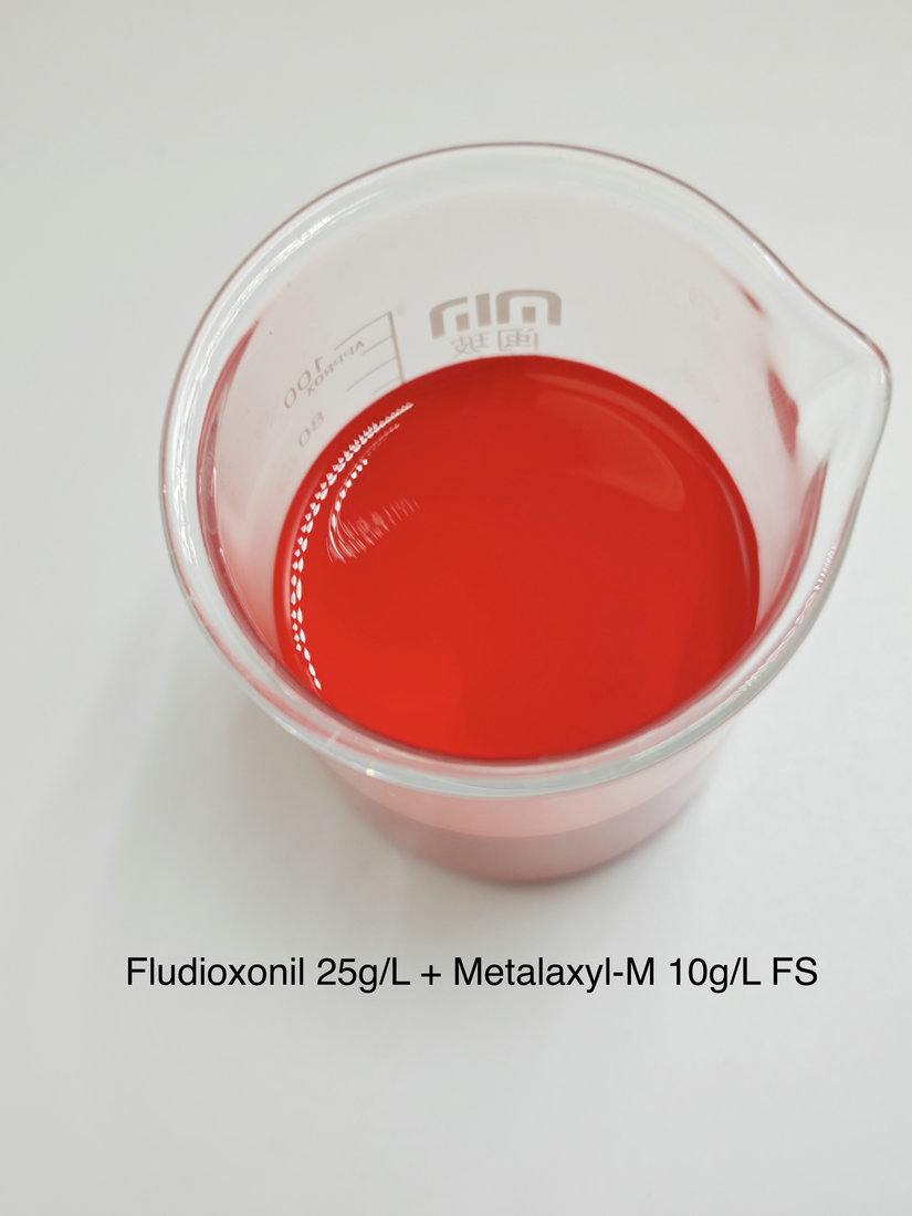 Fludioxonil 25g/L + Metalaxyl-M 10g/L FS
